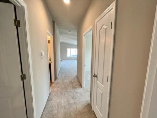 A hallway in a home with carpet and doors.