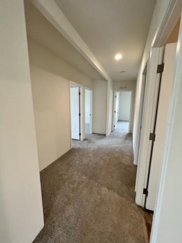 An empty hallway with carpet and doors.